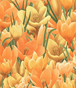 голландия 52