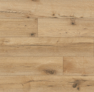 54852 Дуб Патос1-1