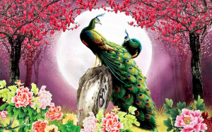 инстал павл в японс стиле