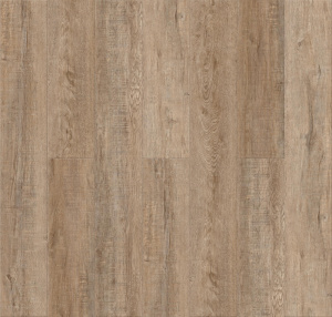 Дуб Блэкрок1