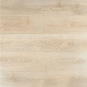 Дуб Астина светлый