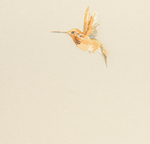 54356-2-rap-oboykin-andrea-rossi-spectrum-plus