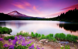 d217d1ed0c7cfb10812c7c81f2f5febaafe5b0a6