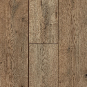 Дуб Вермонт