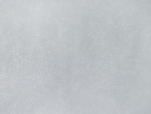 Е501101
