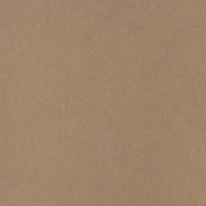 5068-17-oboi-bernardo-bartalucci-legend-595573.530x530x1x1