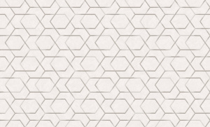 3ae6e34ad5179fee9552e6fa95657818_one_item_prev