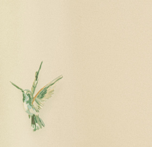 54356-4-rap-oboykin-andrea-rossi-spectrum-plus