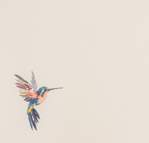 54356-1-rap-oboykin-andrea-rossi-spectrum-plus