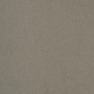 5068-7-oboi-bernardo-bartalucci-legend-595563.530x530x1x1