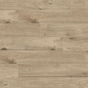 604K-V4 Дуб Левантский1-1