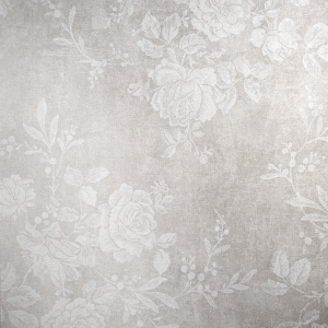 DSC06741_0000_5097-2