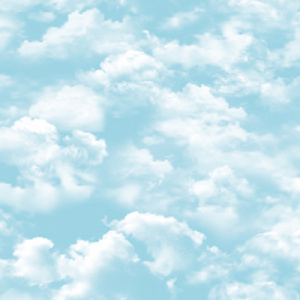 54275_1_andrea_rossi