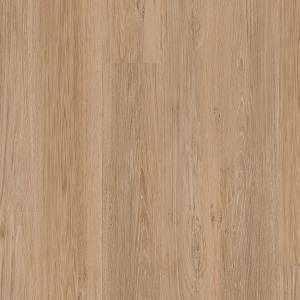 THH_PROGRESSIVEHOUSE_Darin