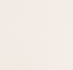 54355-17-rap-oboykin-andrea-rossi-spectrum-plus