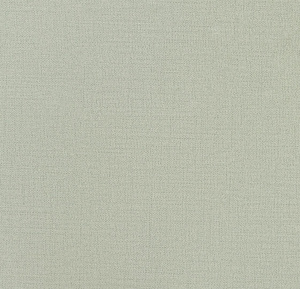 54353-4-rap-oboykin-andrea-rossi-spectrum-plus