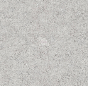 20220309105551_Chikago_6277-5