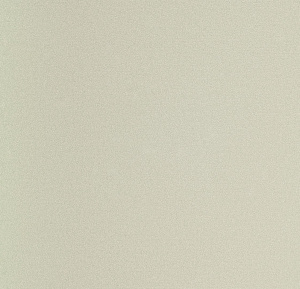 54355-25-rap-oboykin-andrea-rossi-spectrum-plus