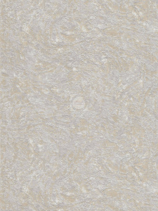 20231027083722_Amazoniya_fon_6295-9