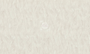 20220524095459_Niagara_fon_4192-1