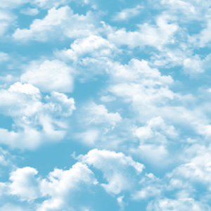 54275_2_andrea_rossi