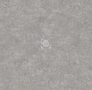 20220309110435_Chikago_6277-9