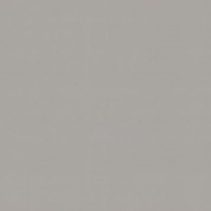 9272-24-раппорт