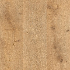 b6adbab5a030221f8e18cb90d07922ad