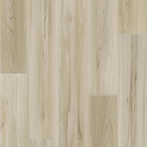 THH_Discovery_Medell_2