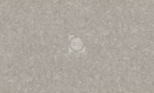 20220828071449_Lilu_fon_4217-4