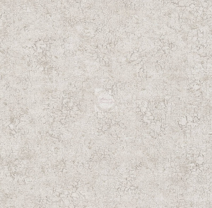 20220309105053_Chikago_6277-3