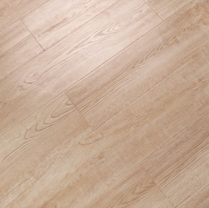 С1006 Омбелдон