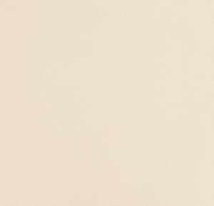 54355-3-rap-oboykin-andrea-rossi-spectrum-plus