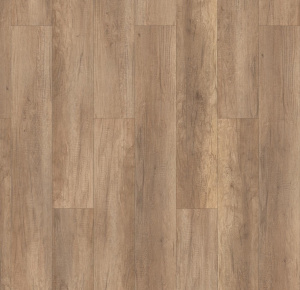 Дуб Мэверик1