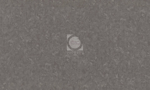 20220828072303_Lilu_fon_4217-9