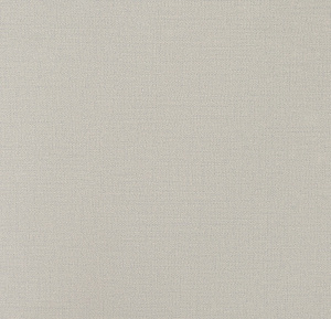 54353-21-rap-oboykin-andrea-rossi-spectrum-plus