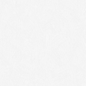 ERISMANN Light2 4568-6 Обои  ГТ ФО  1,0610м. 16