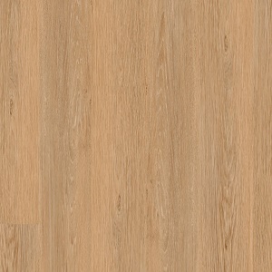 THH_PROGRESSIVEHOUSE_Jody