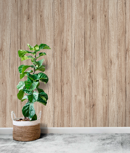 Dub-Sanremo-Bezh-int