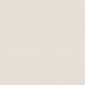 7299-01-раппорт