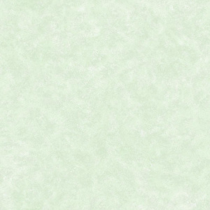 829-04