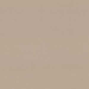 7299-22-раппорт