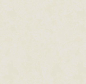 Обои Tessa ERISMANN 60330-03