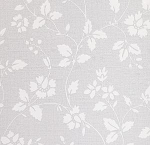 54354-1-rap-oboykin-andrea-rossi-spectrum-plus