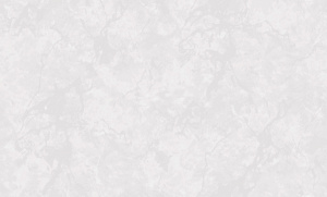 60630-03