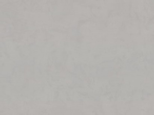 9260-11-раппорт