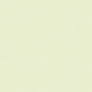 ERISMANN Light 4544-8 Обои  ГТ ФО  1,0610м. 16