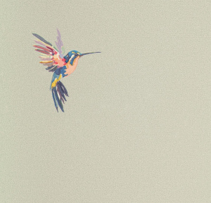 54356-5-rap-oboykin-andrea-rossi-spectrum-plus