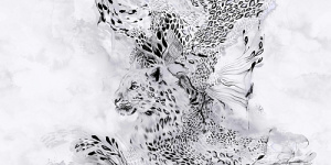 45e0414bbc02de86ad90e38c90654ef1