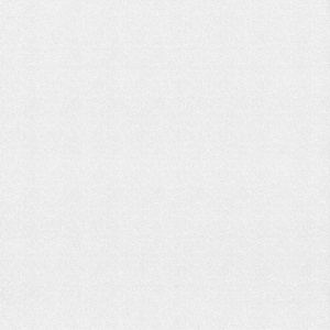 f4-10-1612-21-liza-fon